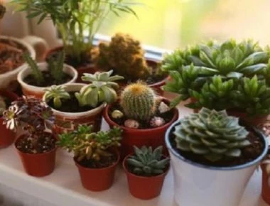 Αυτά είναι τα πιο γρουσούζικα πράγματα που έχουμε στο σπίτι μας!